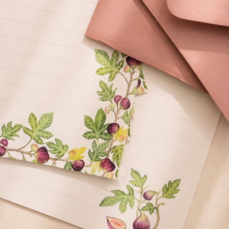 Figs and leaves painted along the edge of a writing sheet, with a dusty-pink envelope