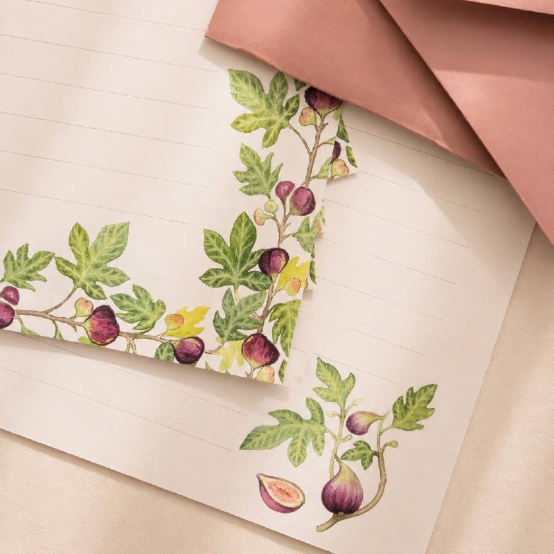 Close view of figs and leaves painted along the edge of a writing sheet